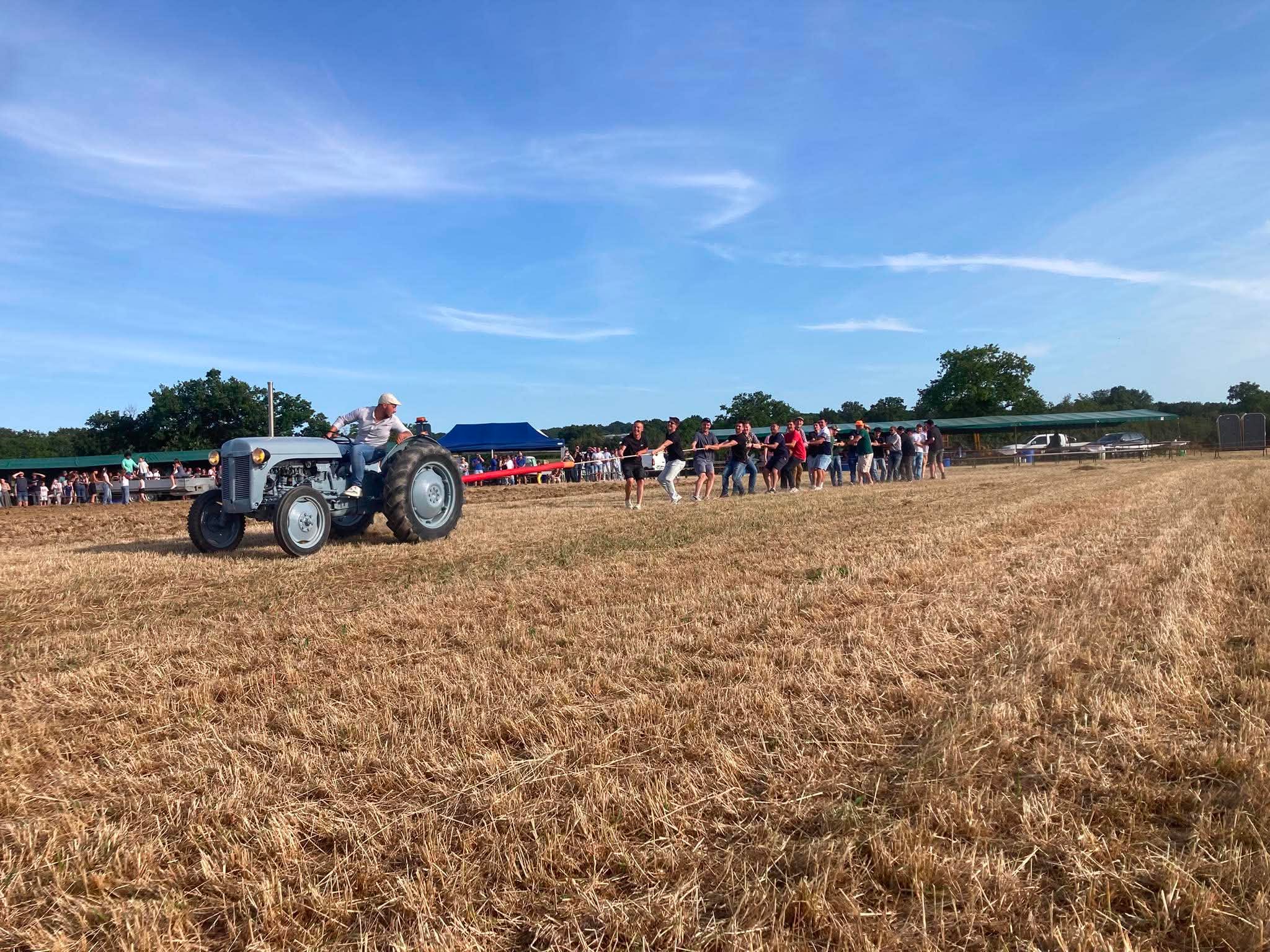 Dimanche 7 juin, près de 90 tracteurs anciens et plusieurs véhicules de collection étaient réunis à Montilliers pour la cinquième édition des Vieux Tracteurs du Lys. | Vieux Tracteurs du Lys